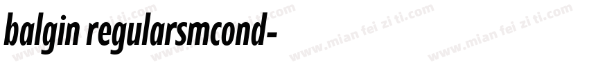balgin regularsmcond字体转换